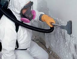 Why You Should Choose Our Mold Remediation Services in Susquehanna Trails, PA